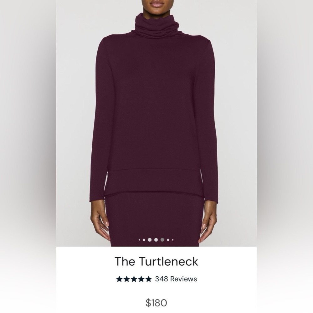 Bleu Salt Burgundy turtleneck Top 3